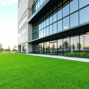 Turf Towns Digital Transformation